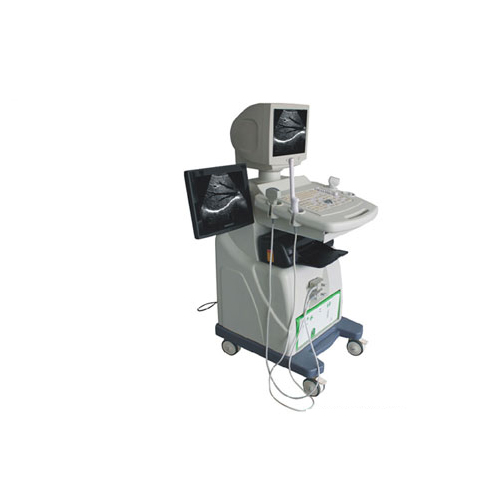 KX668（便攜式）全數(shù)字B超