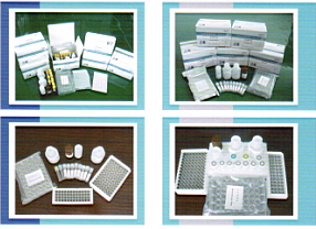 人表皮生長(zhǎng)因子受體2（Her2/neu）檢測(cè)試劑盒