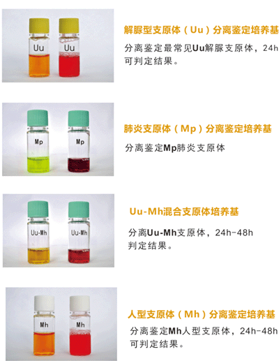 迪爾支原體（UU、Mh）分離培養(yǎng)藥敏試劑盒