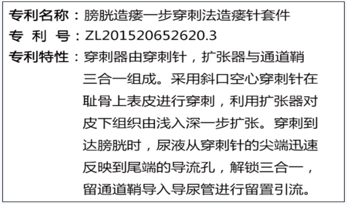 一次性使用無菌引流導管套裝（球囊型）