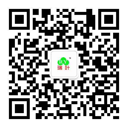 婦炎貼無(wú)菌貼牌代理加工