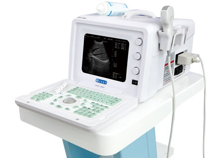 便攜式超聲診斷設(shè)備