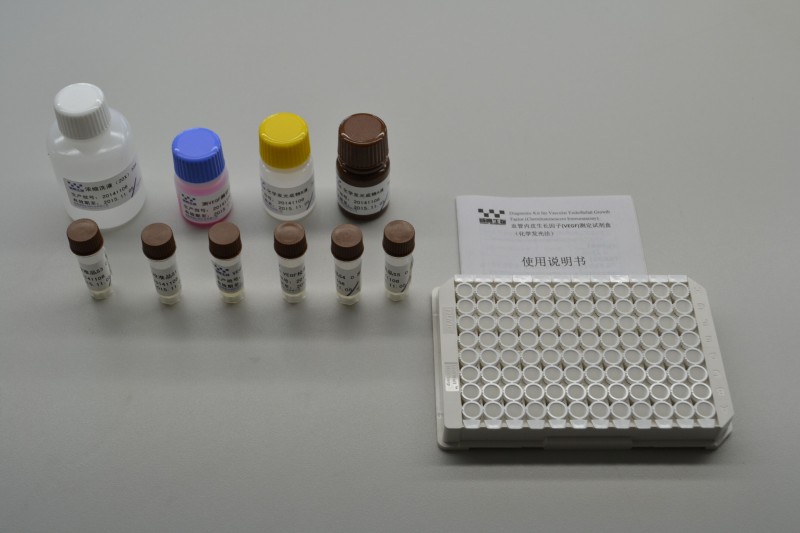VEGF血管內皮生長因子（化學發(fā)光法）