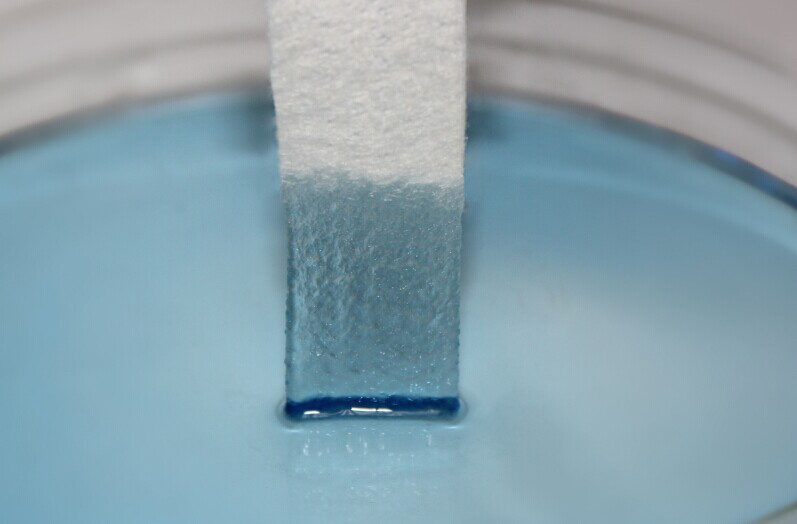 海藻酸鹽傷口敷料