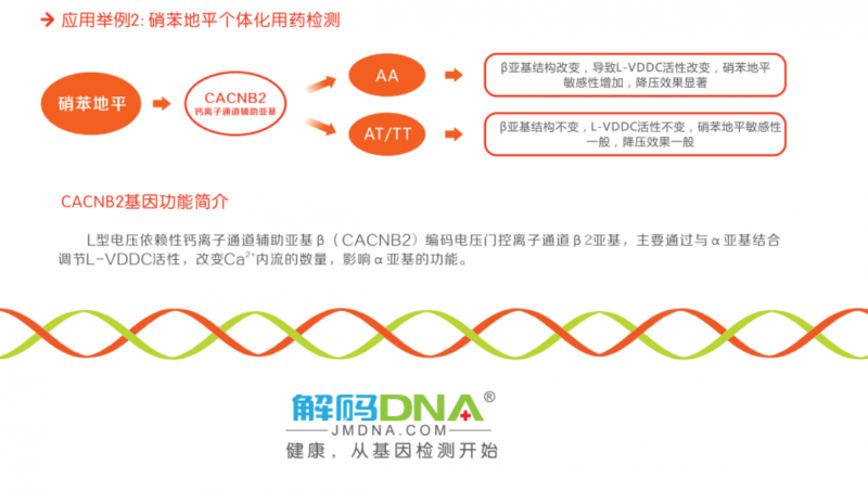 心腦血管個性化用藥基因檢測