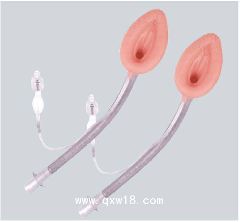 博美斯特 一次性使用醫(yī)用喉罩（喉罩氣道導管）