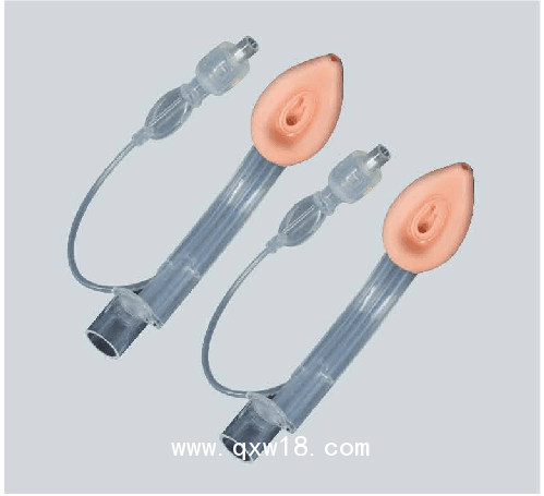 博美斯特 一次性使用醫(yī)用喉罩（喉罩氣道導管）