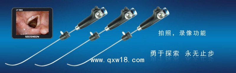 供應(yīng)SEESHEEN視新便攜式電子插管軟鏡LF-10