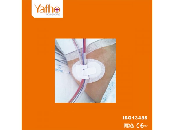 導(dǎo)管固定裝置