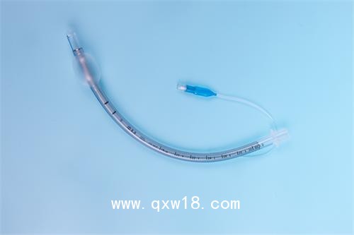 一次性使用氣管插管