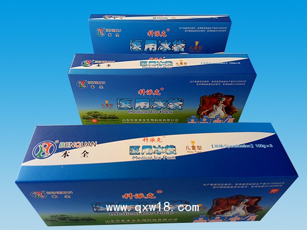 醫(yī)用冰袋兒童型