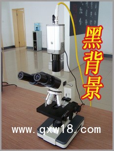 一滴血顯微鏡檢測儀(雙目)