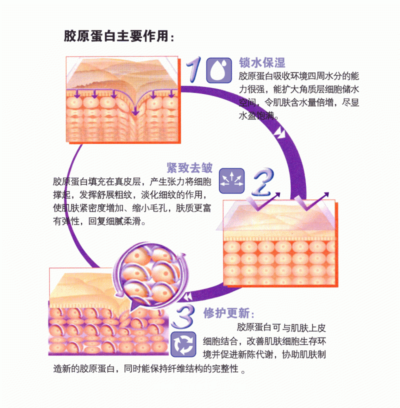 美卿皮膚修復(fù)貼敷料
