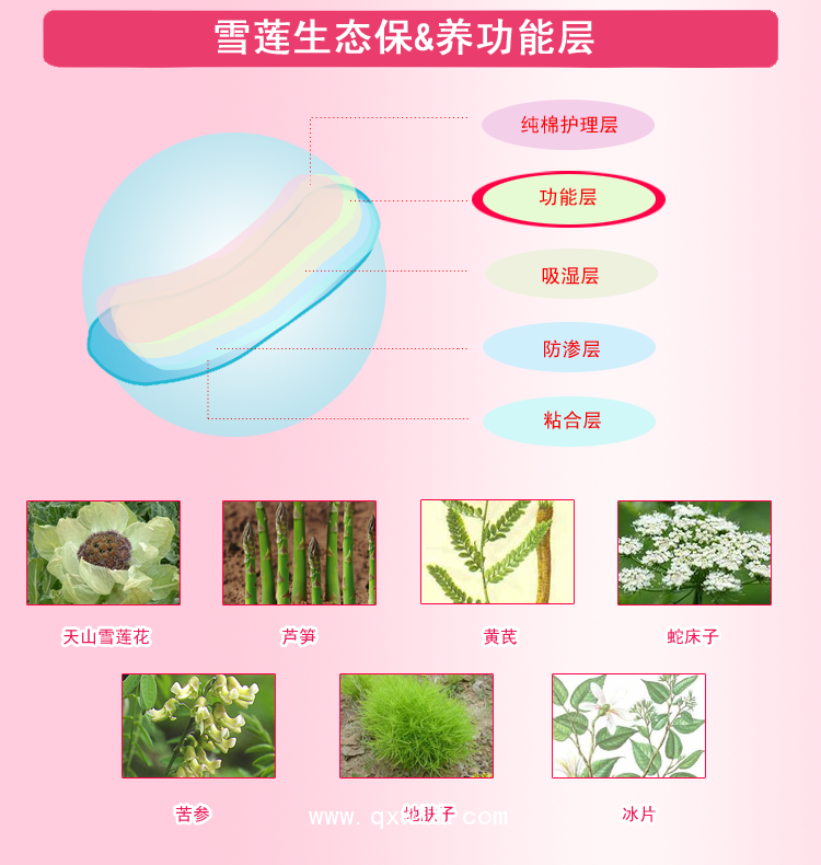 排毒養(yǎng)元貼定制，雪蓮貼OEM貼牌，貼膏生產(chǎn)廠家