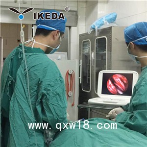 供應(yīng)耳鼻喉科使用的內(nèi)窺鏡攝像機，全新一體機便攜式