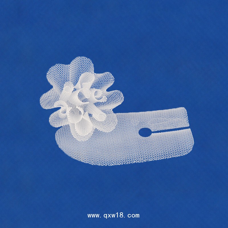 疝補(bǔ)片藍(lán)普