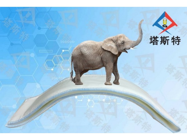 塔斯特高分子夾板繃帶舒適安全，硬化速度快，透X光，防水性強(qiáng)