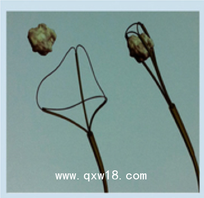 美國庫克 COOK取石網籃NGE-017115-MB