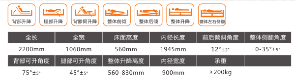 山東眾佳E2多功能電動(dòng)床(翻身床)
