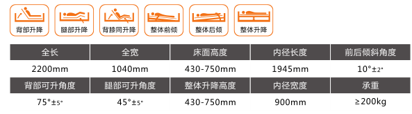 山東眾佳E6 五功能電動護理床