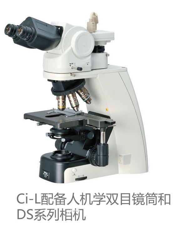 Nikon 臨床用正置顯微鏡Ci系列
