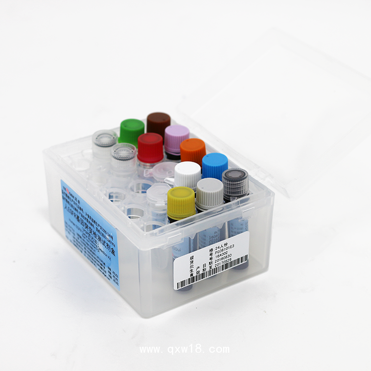 人 B-RAF 基因 V600E 突變檢測(cè)試劑盒