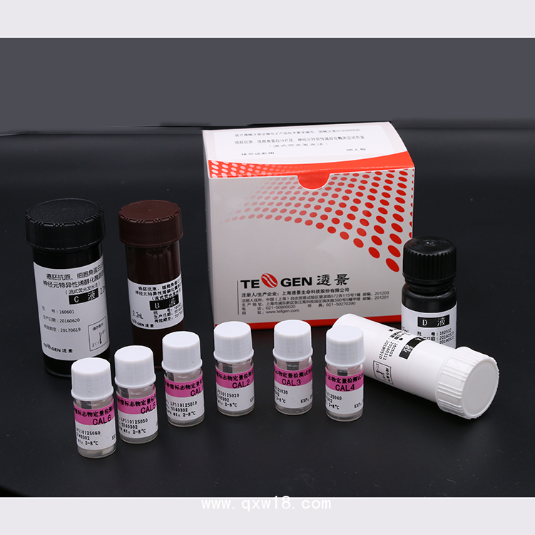 腫瘤標(biāo)志物肺癌三項(xiàng)CEA/CYFRA211/NSE測(cè)定試劑盒