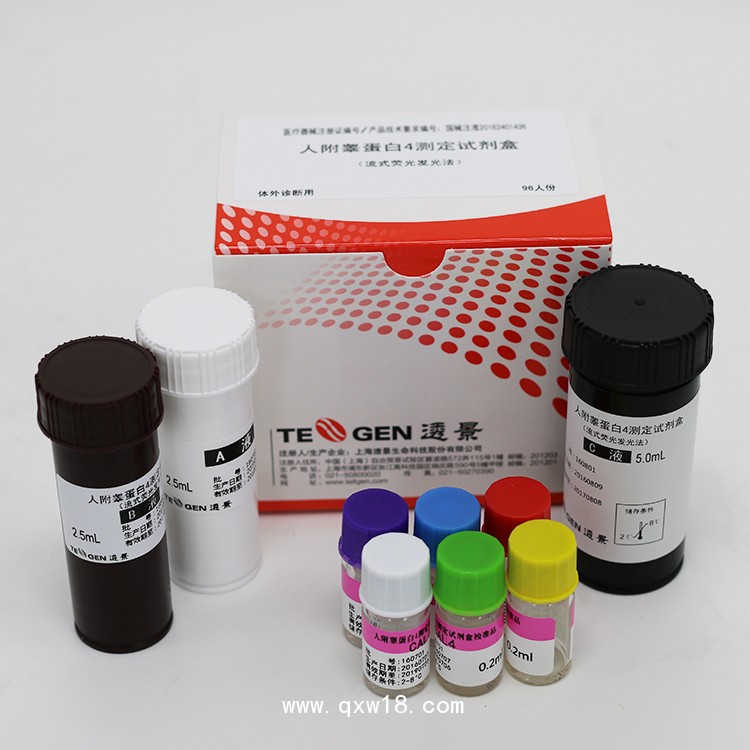人附睪蛋白4定量檢測試劑盒