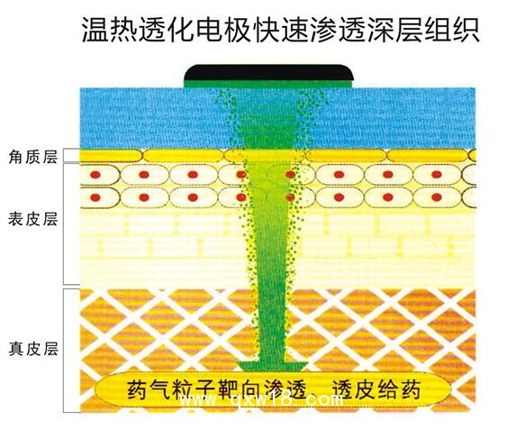 電腦中頻治療儀 全觸摸屏控制 新一代中藥離子導(dǎo)入設(shè)備