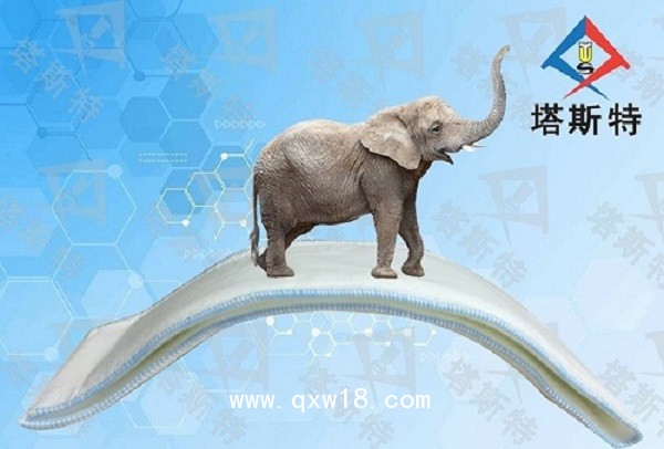 塔斯特急救型醫(yī)用高分子夾板