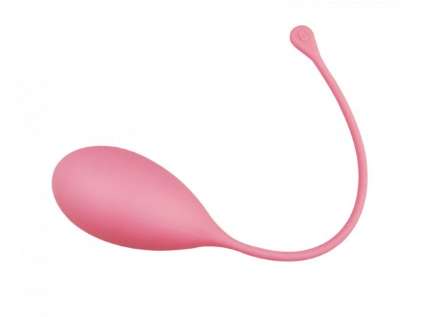 盆底肌肉康復(fù)器（陰道啞鈴）