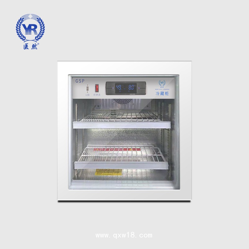 醫(yī)然迷你小型冷藏柜 立式桌面式小冰柜