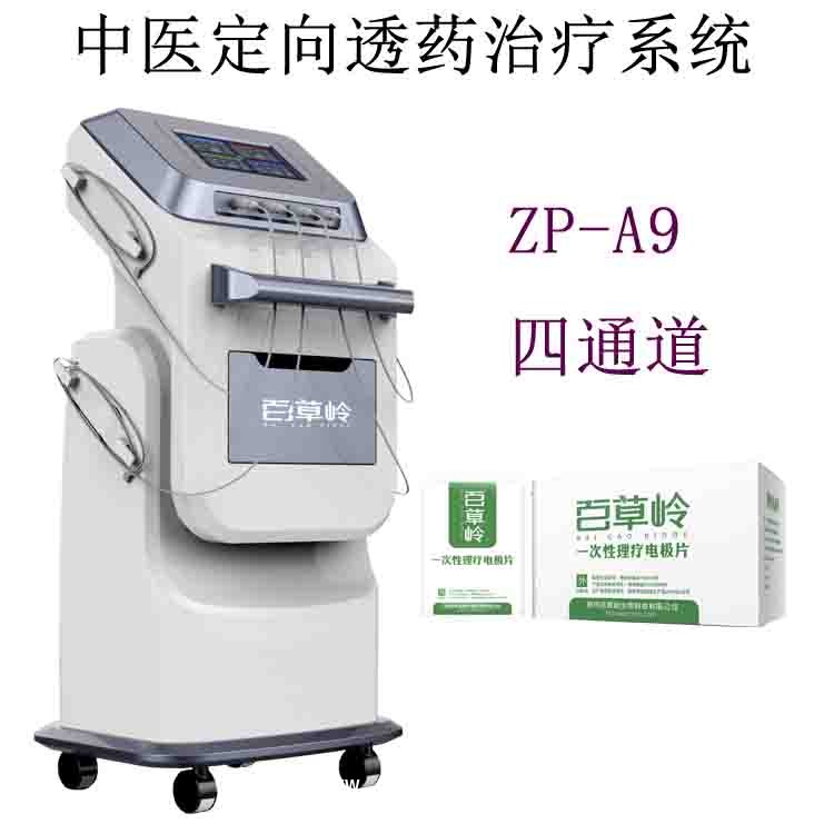 中藥離子導(dǎo)入儀