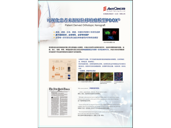 早期手術(shù)腫瘤患者抗復(fù)發(fā)、抗轉(zhuǎn)移、促進(jìn)生存全過程管理服務(wù)