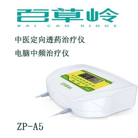 中頻脈沖治療儀中藥離子導(dǎo)入治療儀