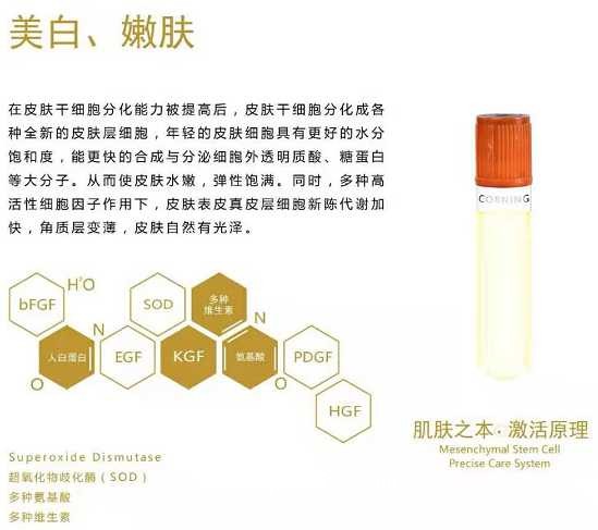 水光針（瑞納生寡肽原液）