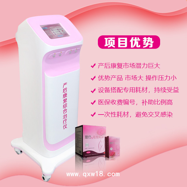 產(chǎn)后康復治療儀