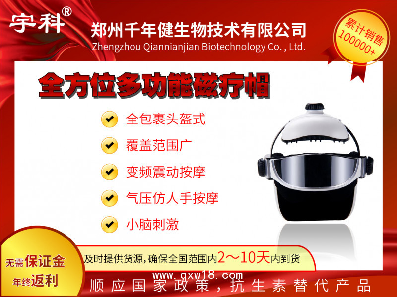 腦循環(huán)功能障礙治療儀