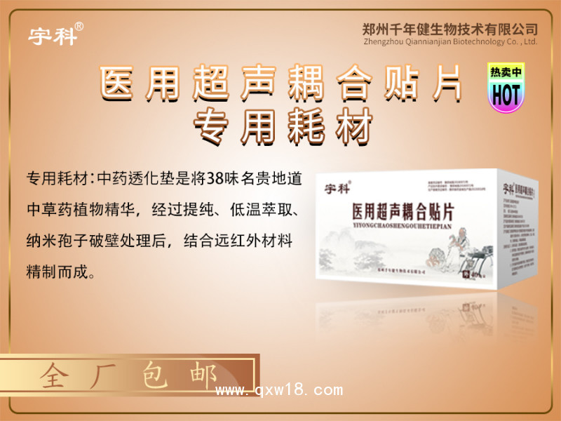 數碼多功能超聲波透藥治療系統(tǒng)