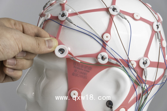 腦電電極金盤盤狀電極線束