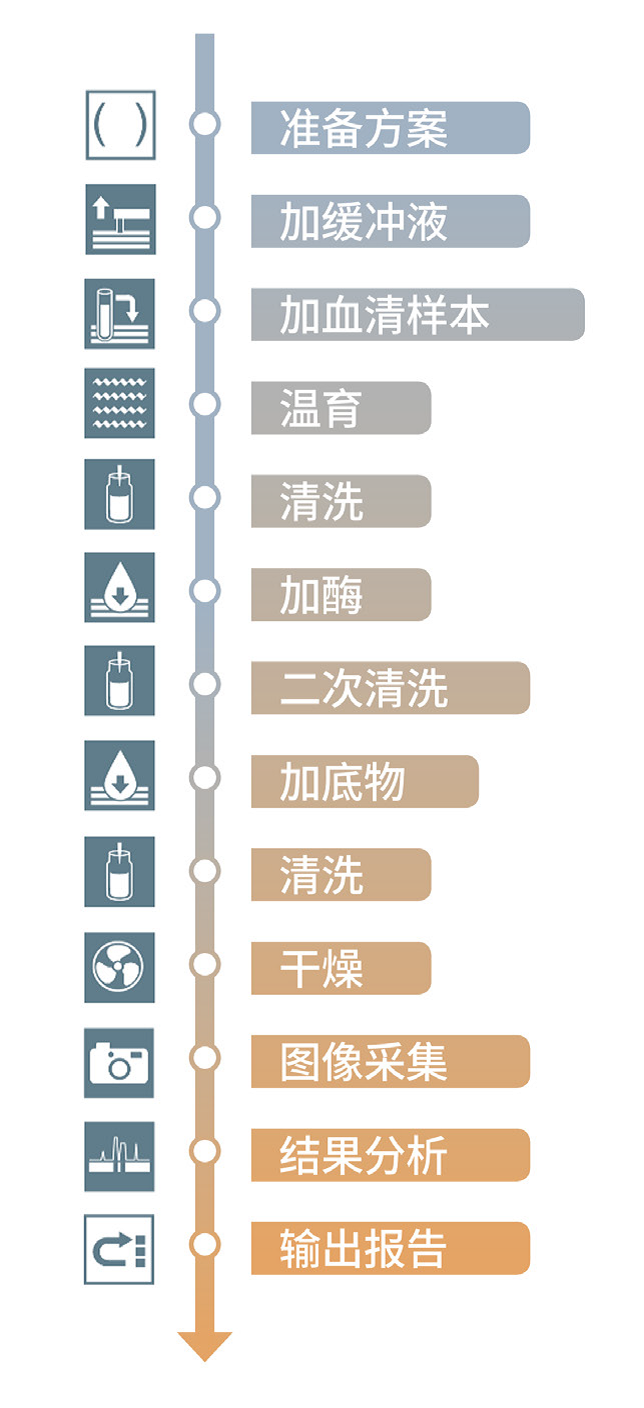 全自動免疫印跡檢測系統(tǒng)EUROLineMaster Plus