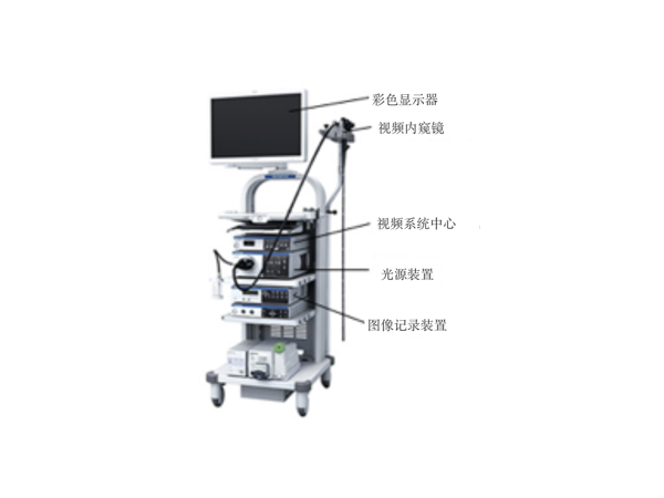 奧林巴斯支氣管鏡290