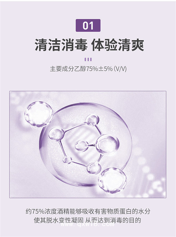 閱紫75%免洗手消毒凝膠500ml