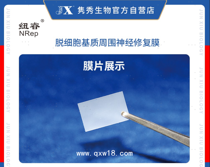 脫細(xì)胞基質(zhì)周圍神經(jīng)修復(fù)膜（紐睿）