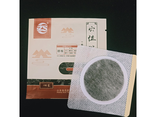 朱氏ZS成人穴位貼敷治療貼