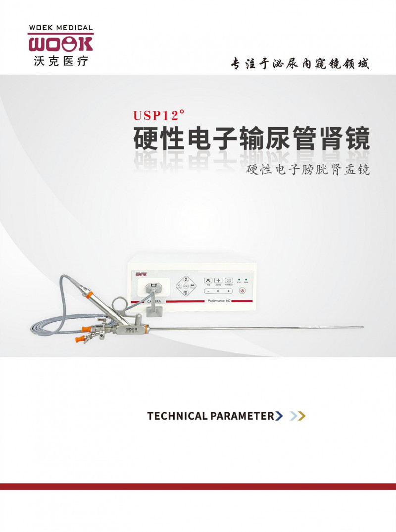 獨(dú)創(chuàng)新品 硬性電子輸尿管腎鏡 全國火熱招商中
