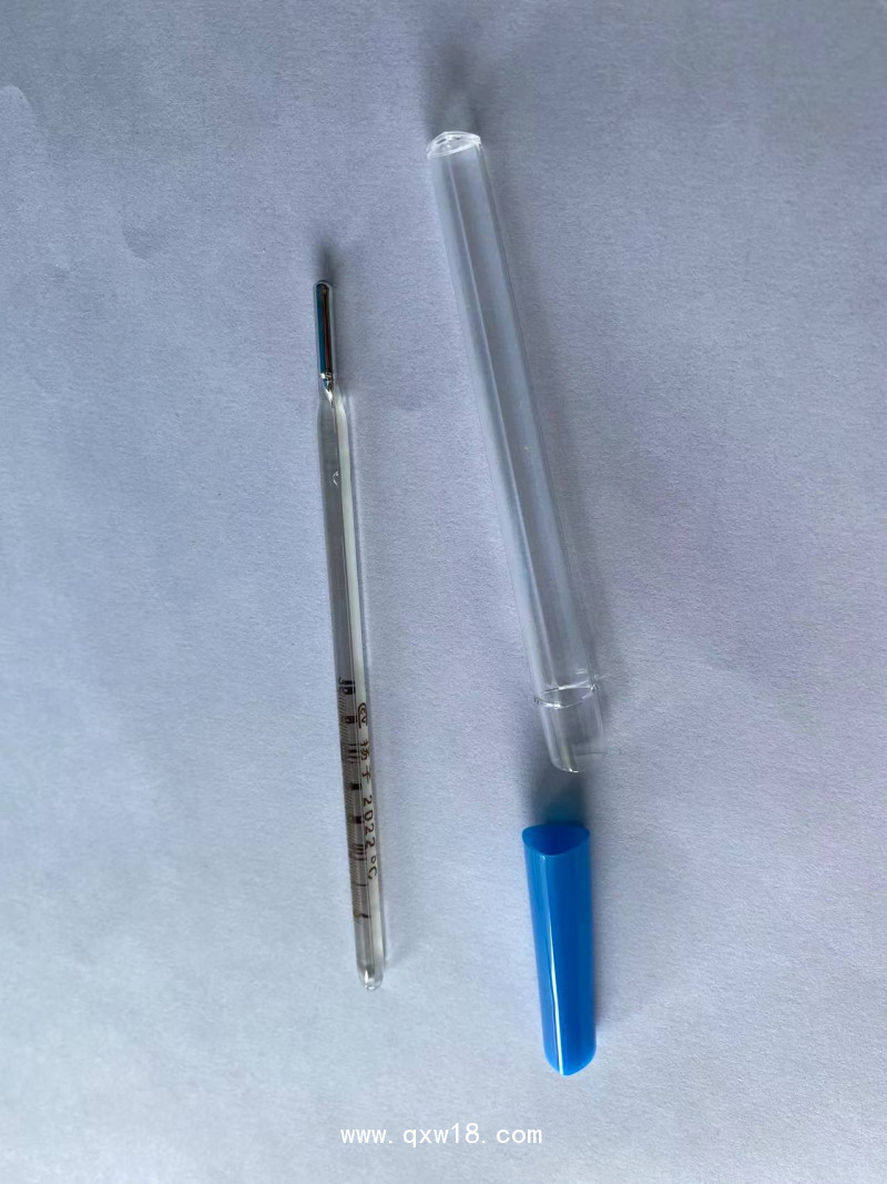 揚子玻璃體溫計