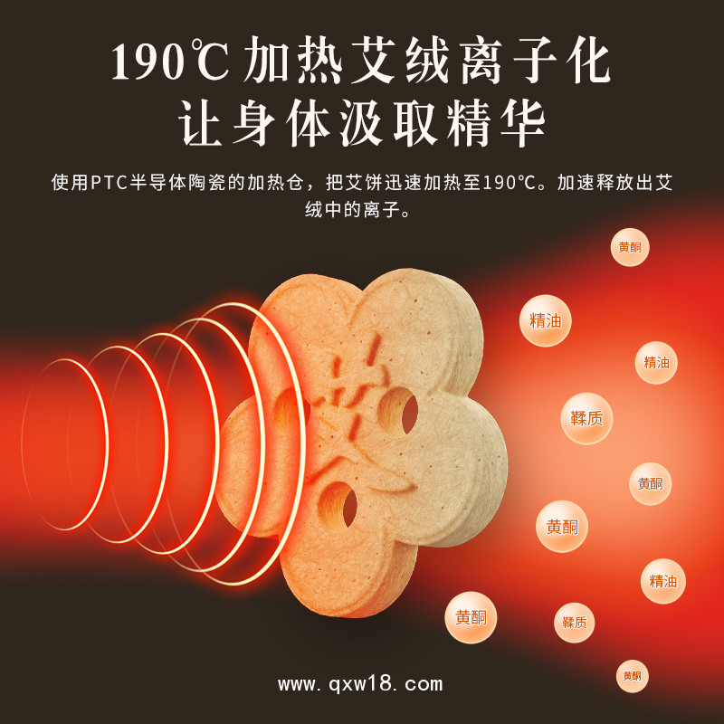 電子無煙艾灸儀 醫(yī)院招標艾灸治療儀電 LY-AJ07b