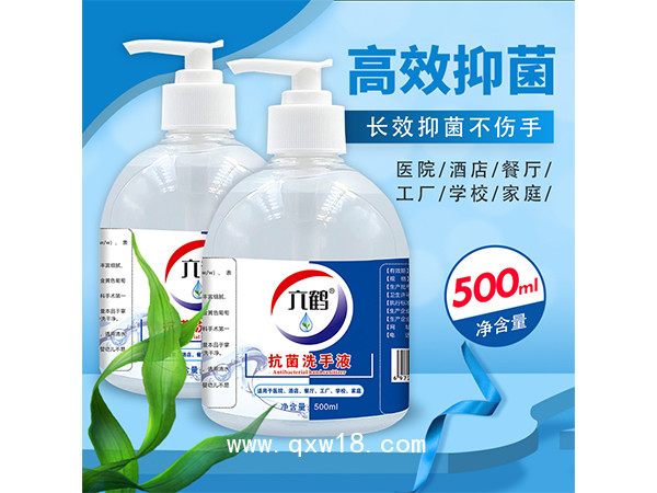 六鶴廠家批發(fā)500ml消毒酒精抗菌洗手液