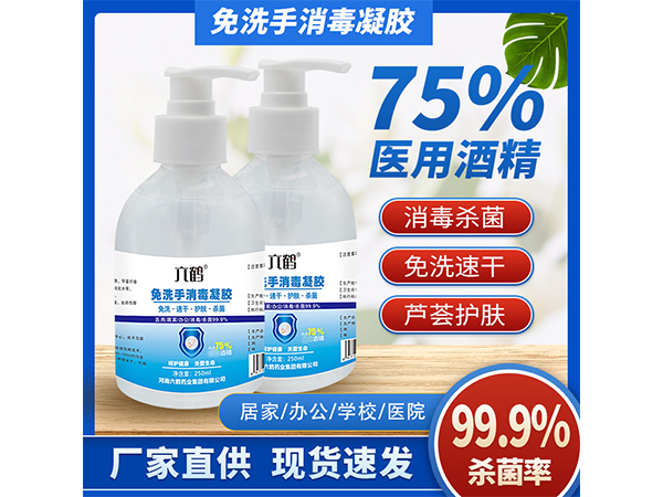 六鶴免洗凝膠洗手液250ml含75%酒精消毒凝膠免洗手液